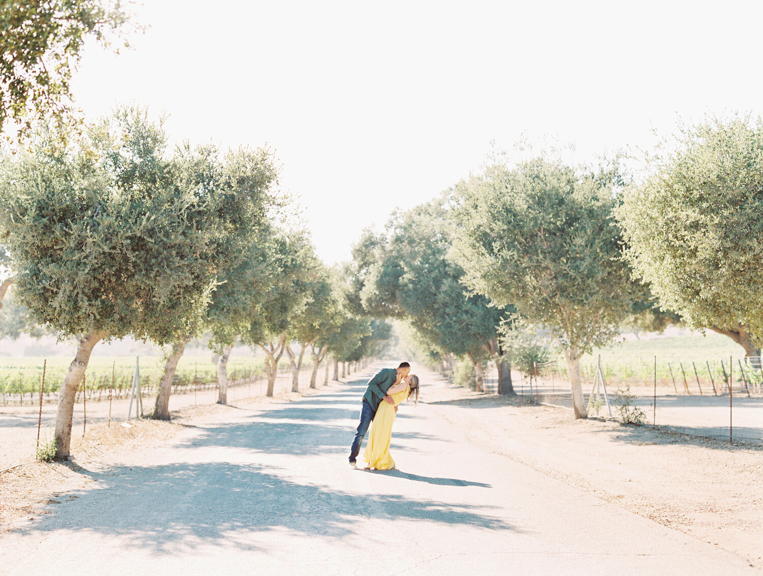 wisteria-photography.com | Wisteria Photography | Firestone Vineyard and Winery | Weddings Engagement | Southern California Photographer-6.jpg