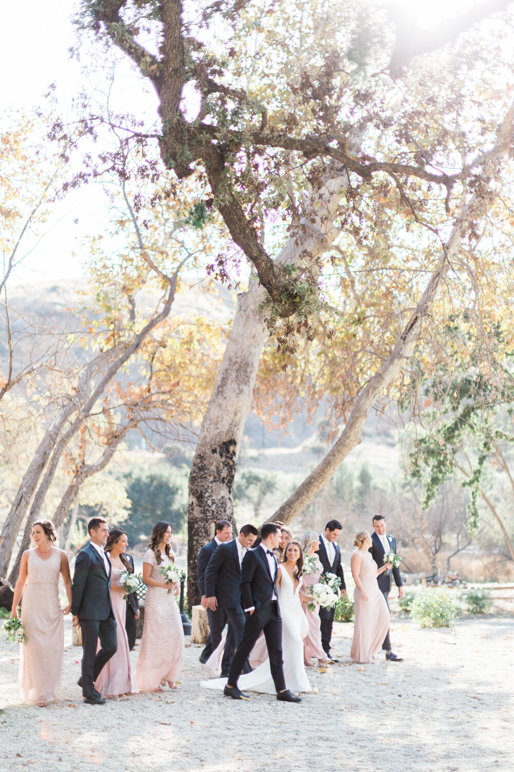 wisteria-photography.com | Wisteria Photography | Triunfo Creek Vineyards | Weddings Engagement | Southern California Photographer-22.jpg