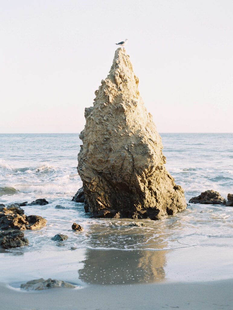 A large, pointed rock rises from shallow ocean water near the shore, with a seagull perched on its tip. Gentle waves and a clear, pale sky evoke the tranquil mood of fine art film photography. Copyright - Lisa Leanne Photography, California