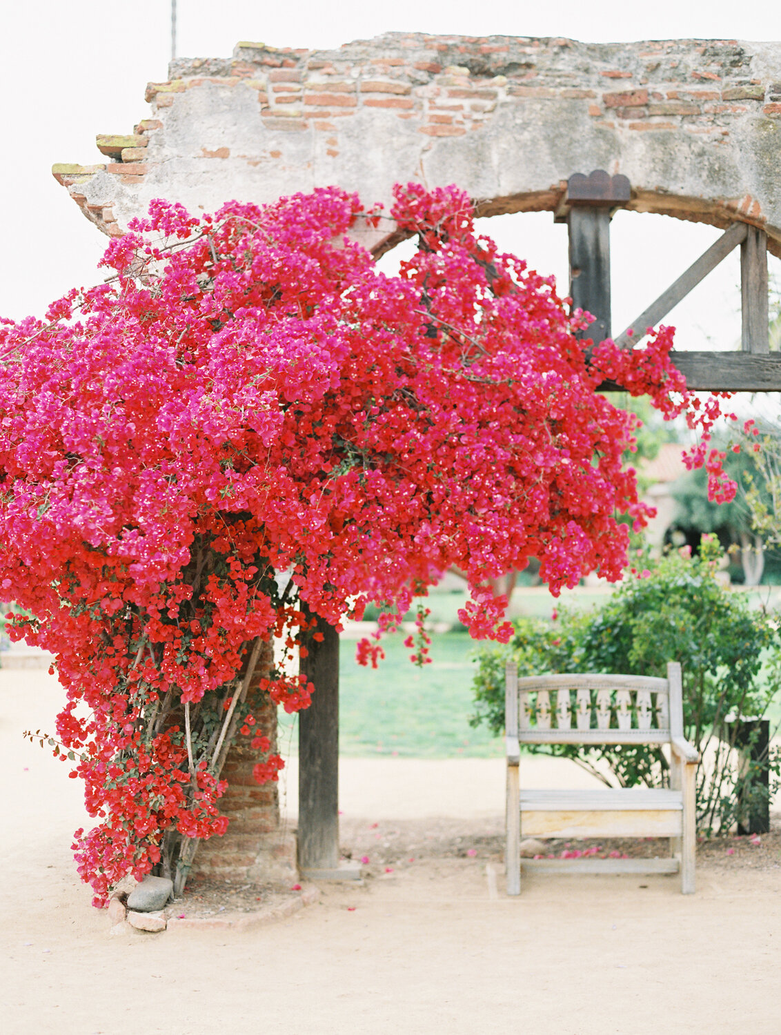 wisteria-photography.com | Wisteria Photography | Nature Photography | Fine Art | Southern California Photographer-14.jpg