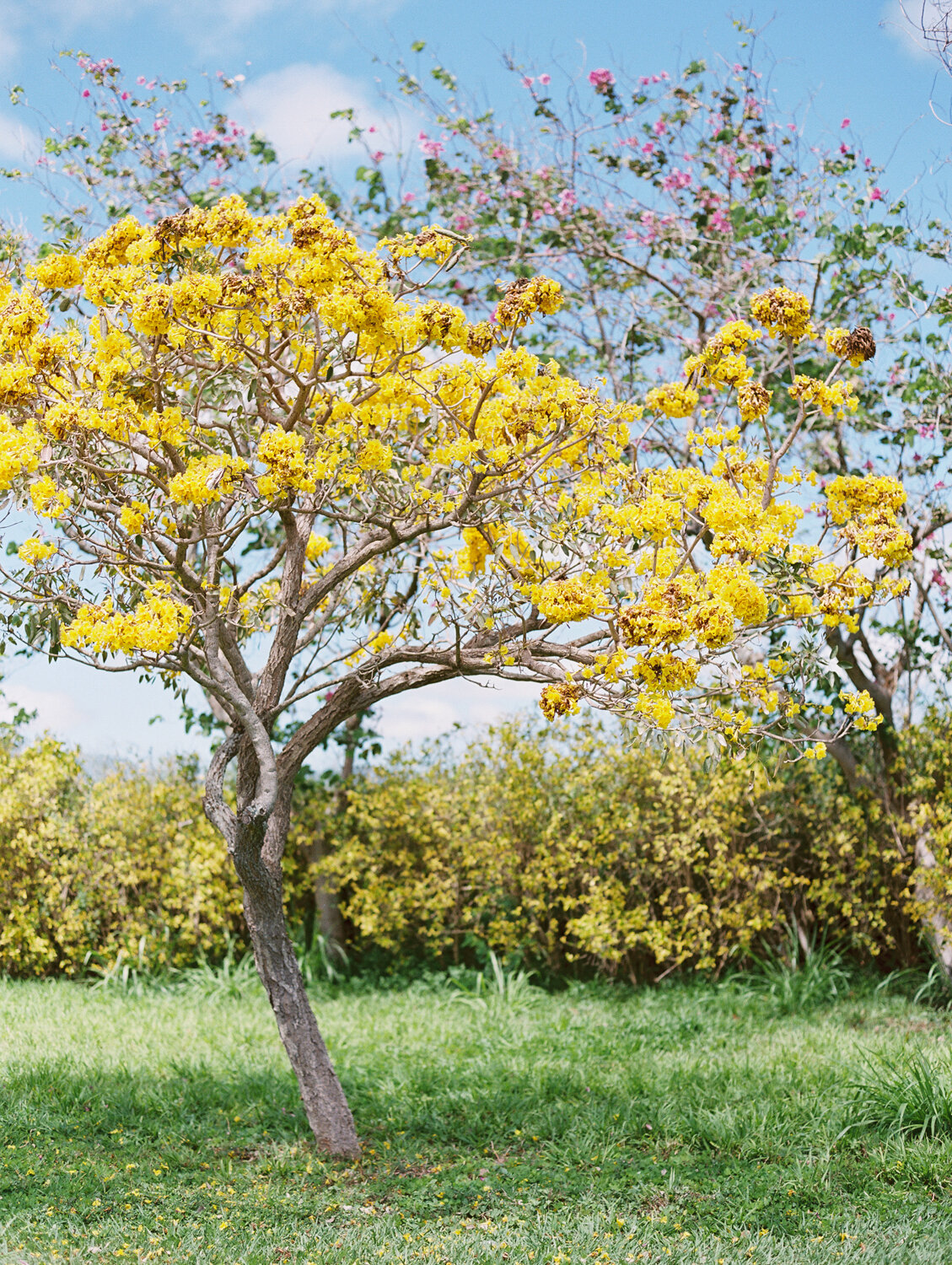 wisteria-photography.com | Wisteria Photography | Nature Photography | Fine Art | Southern California Photographer-18.jpg