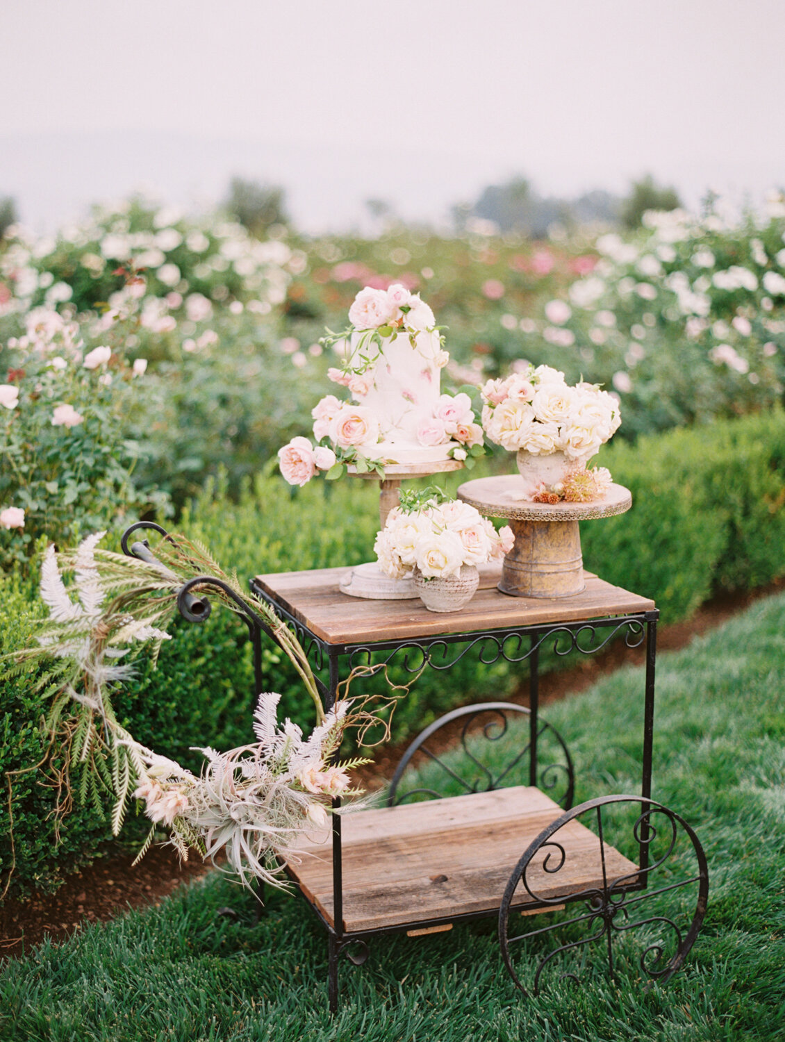 wisteria-photography.com | Wisteria Photography | Intimate Rose Garden Wedding | Santa Ynez | Featured on Green Wedding Shoes | Southern California Photographer-36.jpg