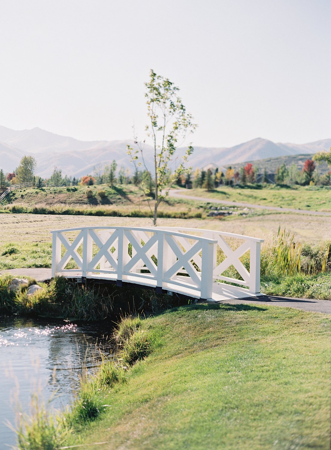 wisteria-photography.com | Wisteria Photography | Flower Filled Ranch Wedding | Utah | Featured on Wedding Sparrow | Destination Photographer-25.jpg