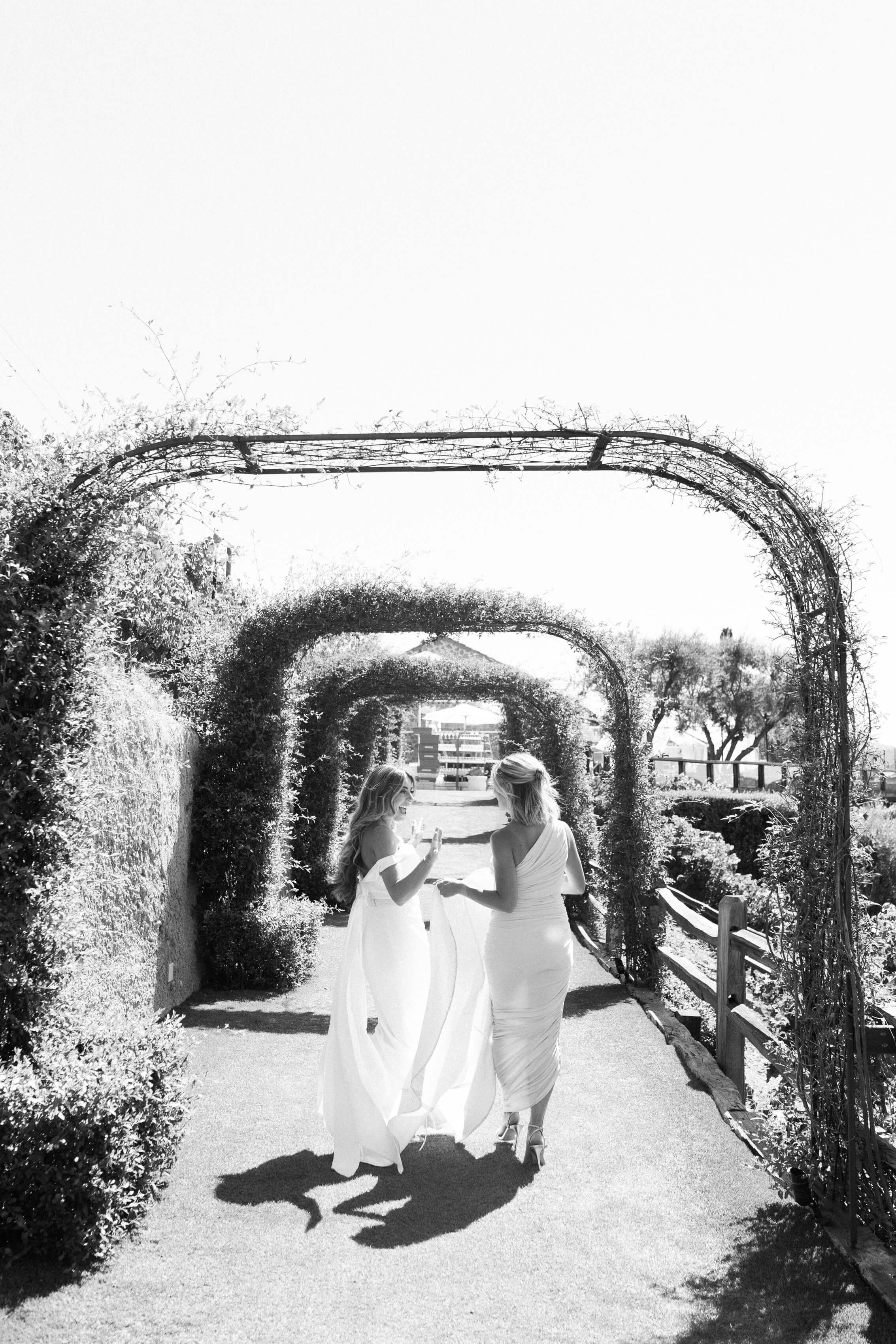 Cielo Farms Wedding Arches