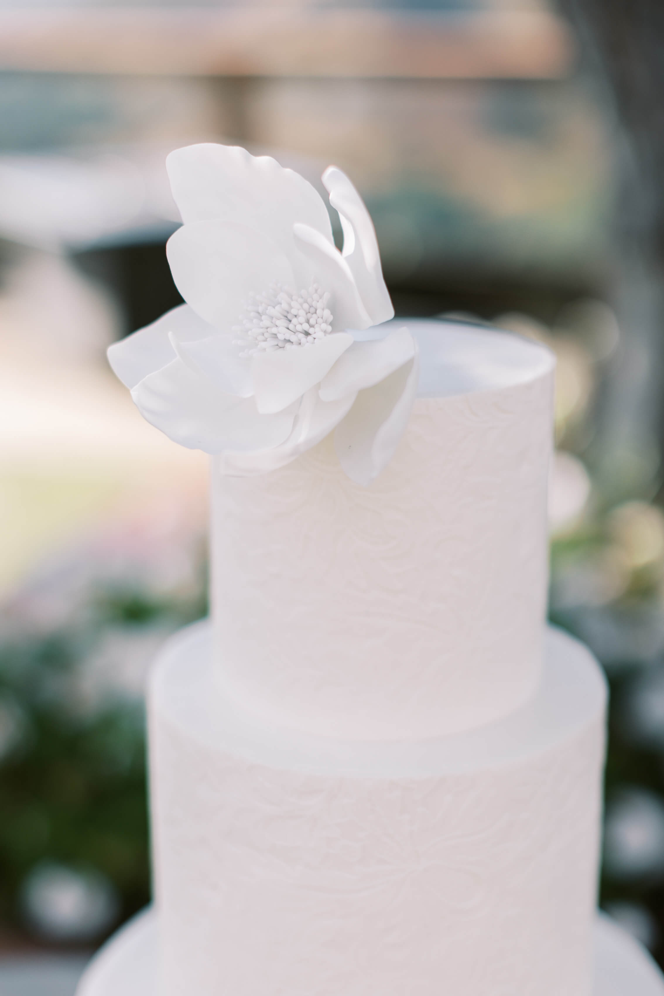 Cielo Farms Wedding Cake