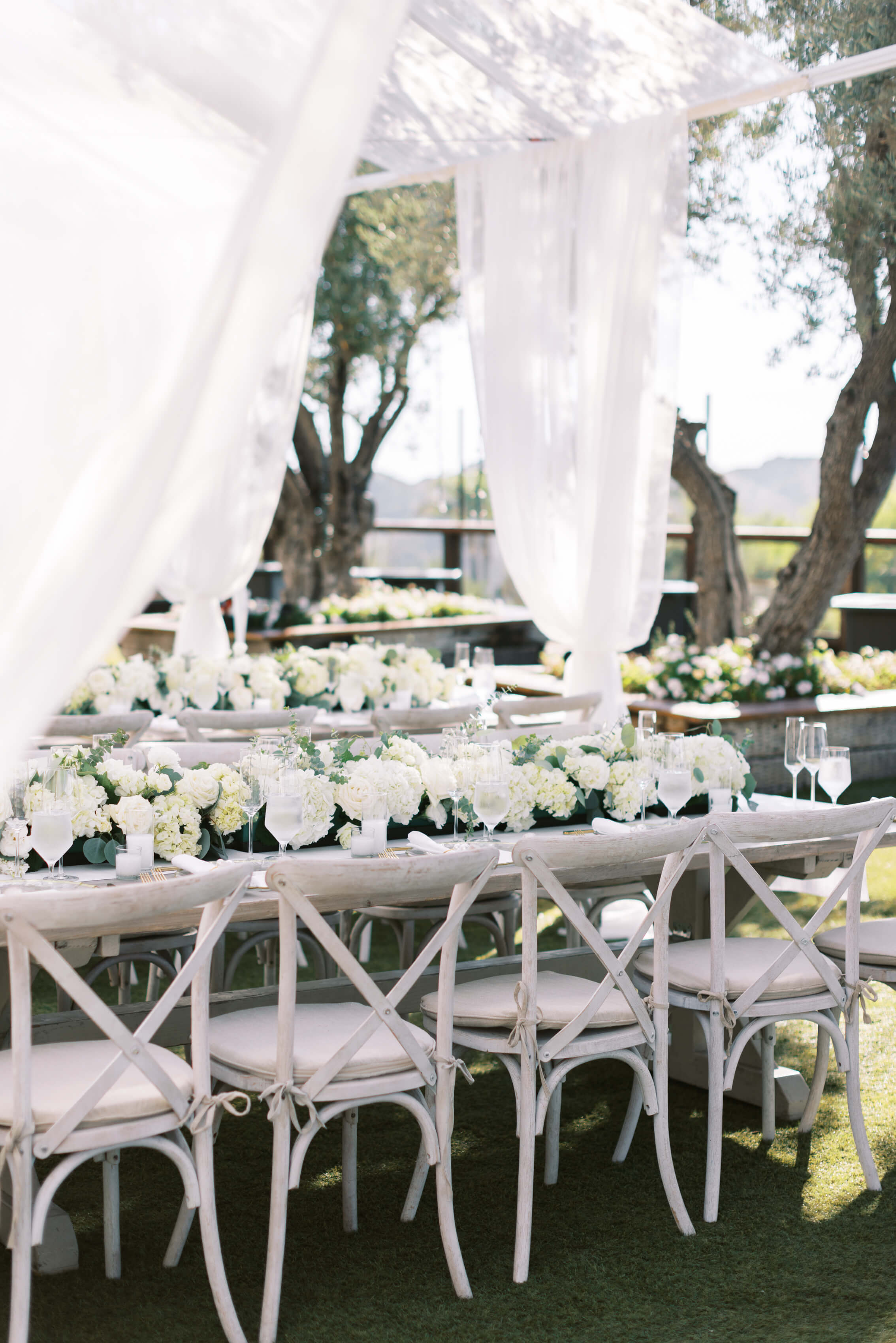 Cielo Farms Wedding Reception