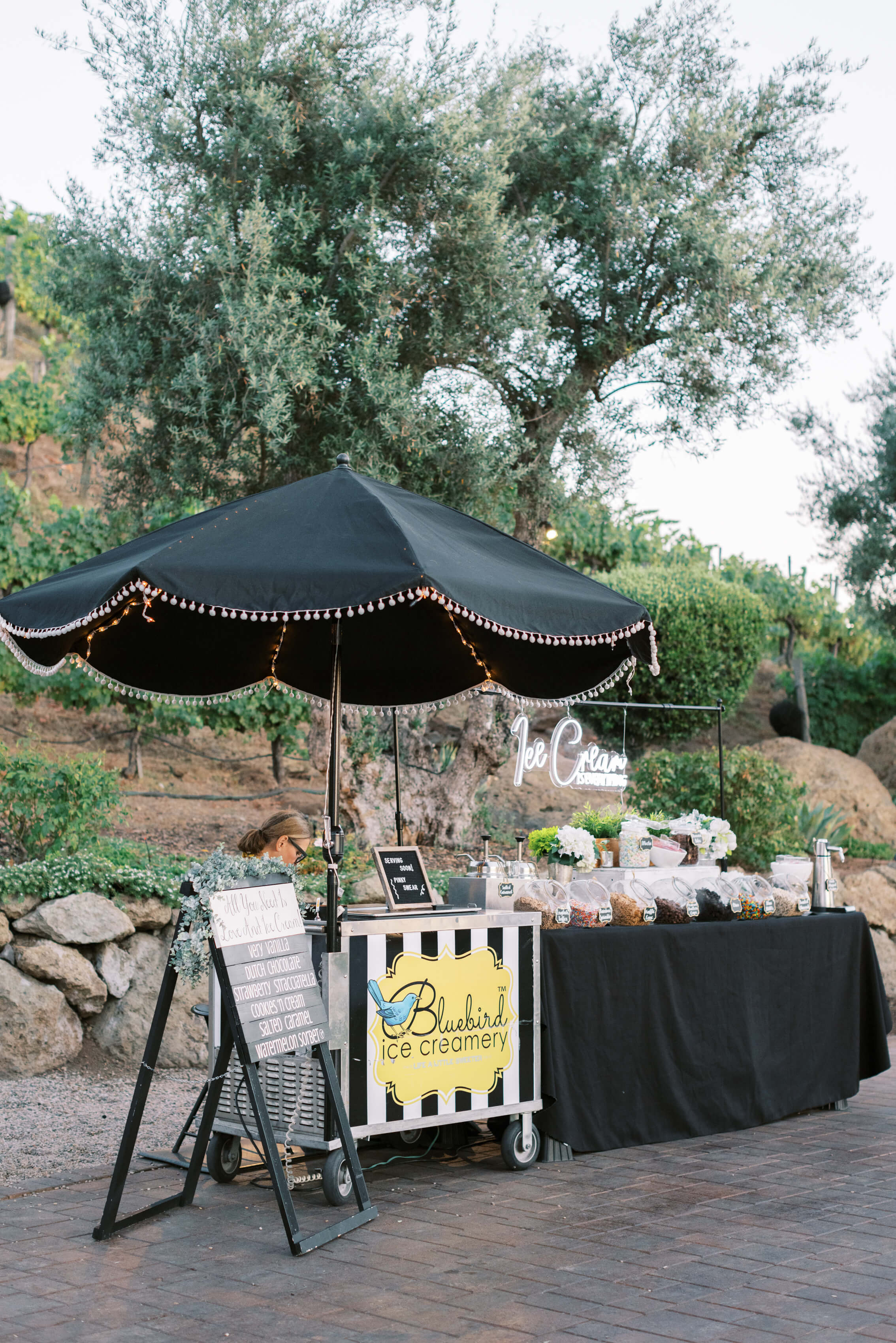 Cielo Farms Wedding Ice Cream Bar