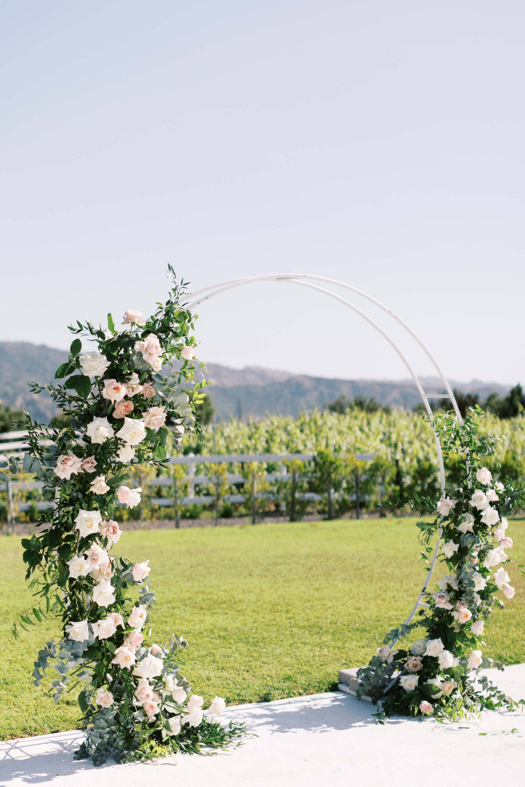 Hummingbird Nest Ranch Q-Vineyard Ceremony - Lisa Leanne Photography