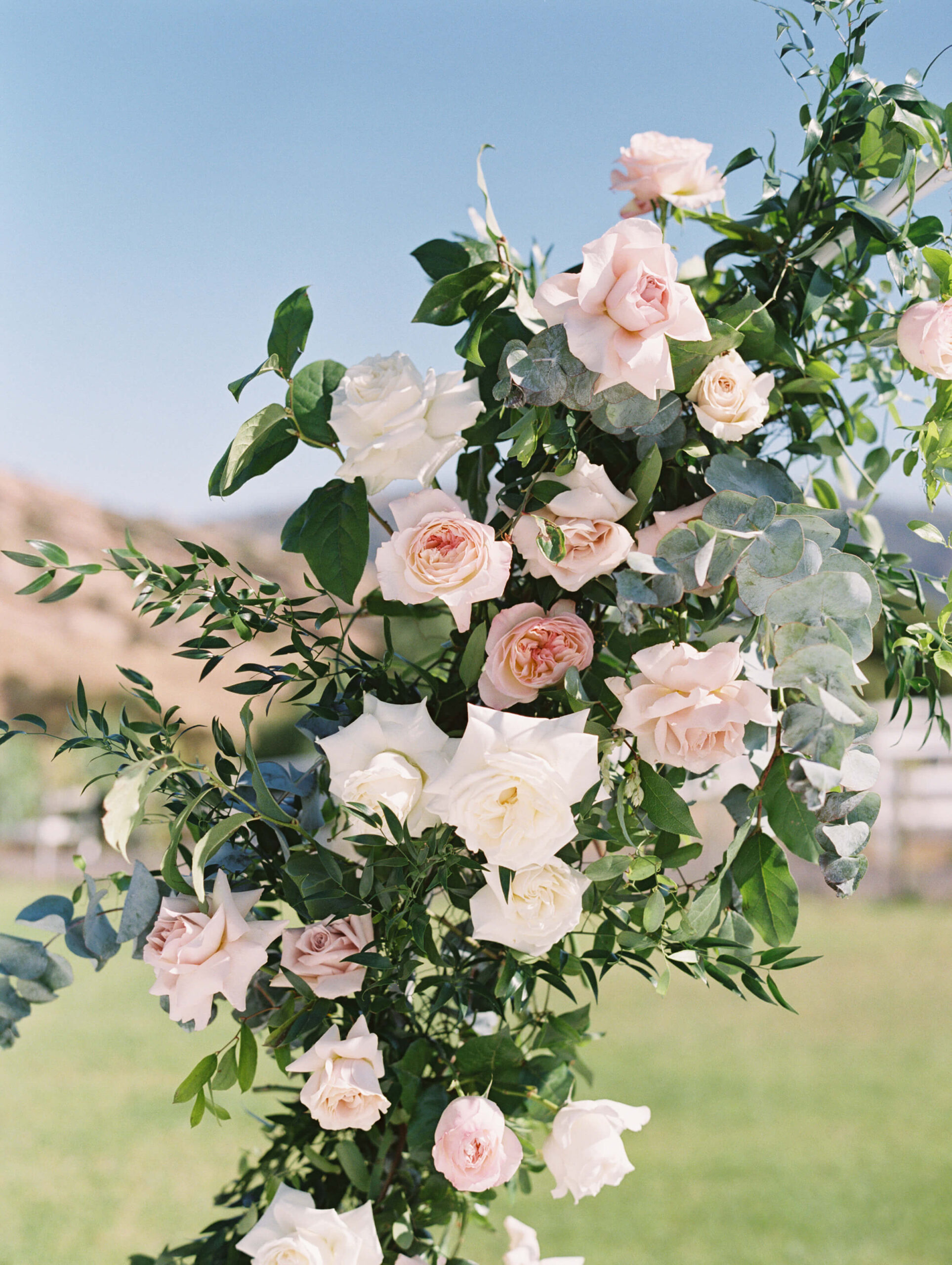 Hummingbird Nest Ranch Q-Vineyard Ceremony - Lisa Leanne Photography