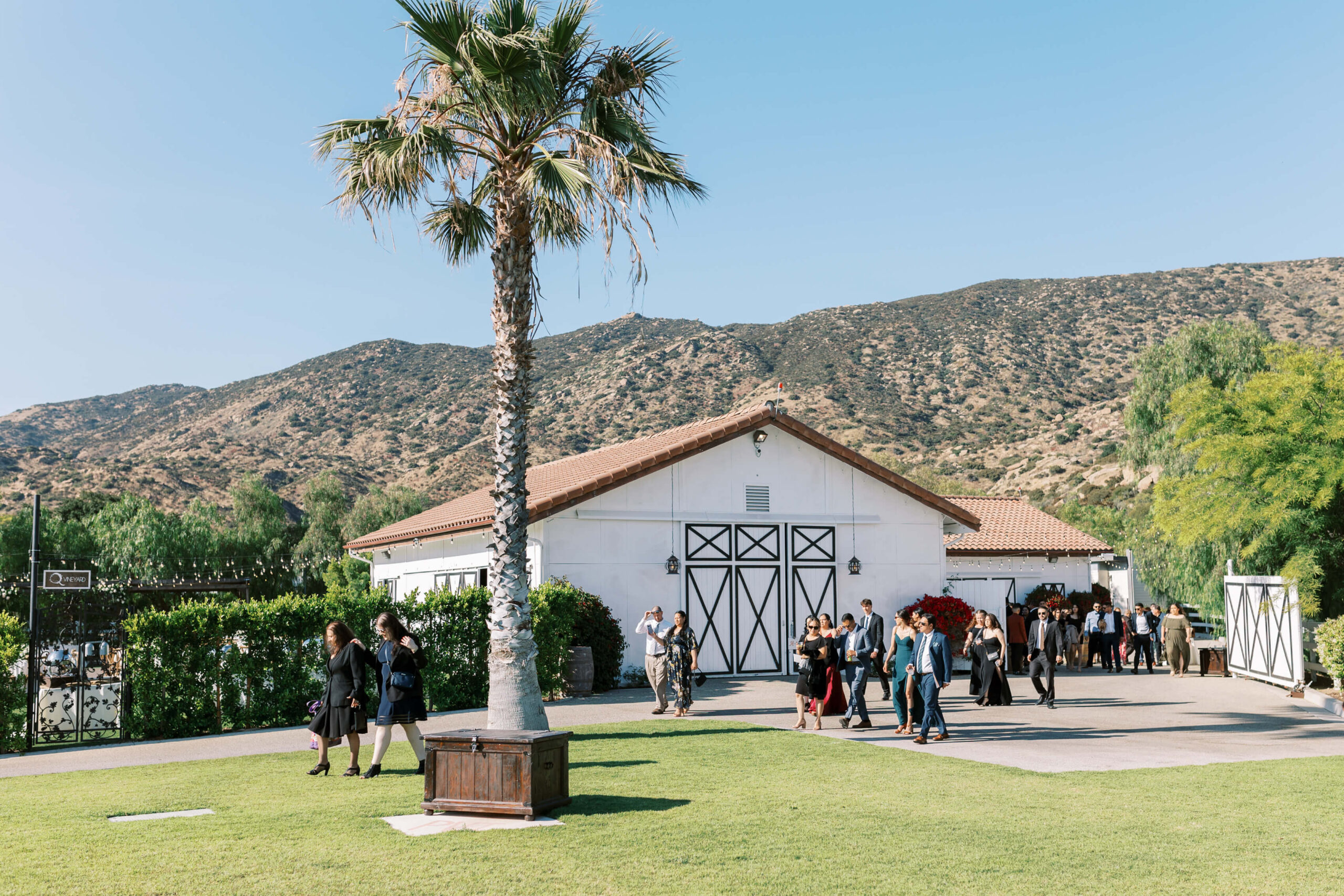 Hummingbird Nest Ranch Q-Vineyard Ceremony - Lisa Leanne Photography