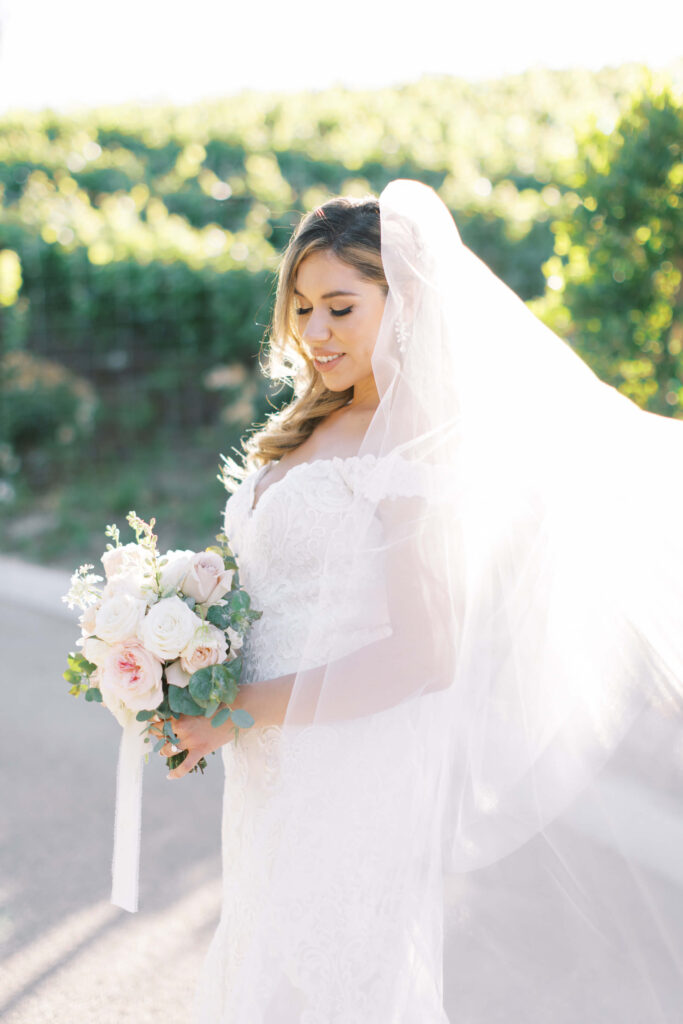 Hummingbird Nest Ranch Bride - Lisa Leanne Photography