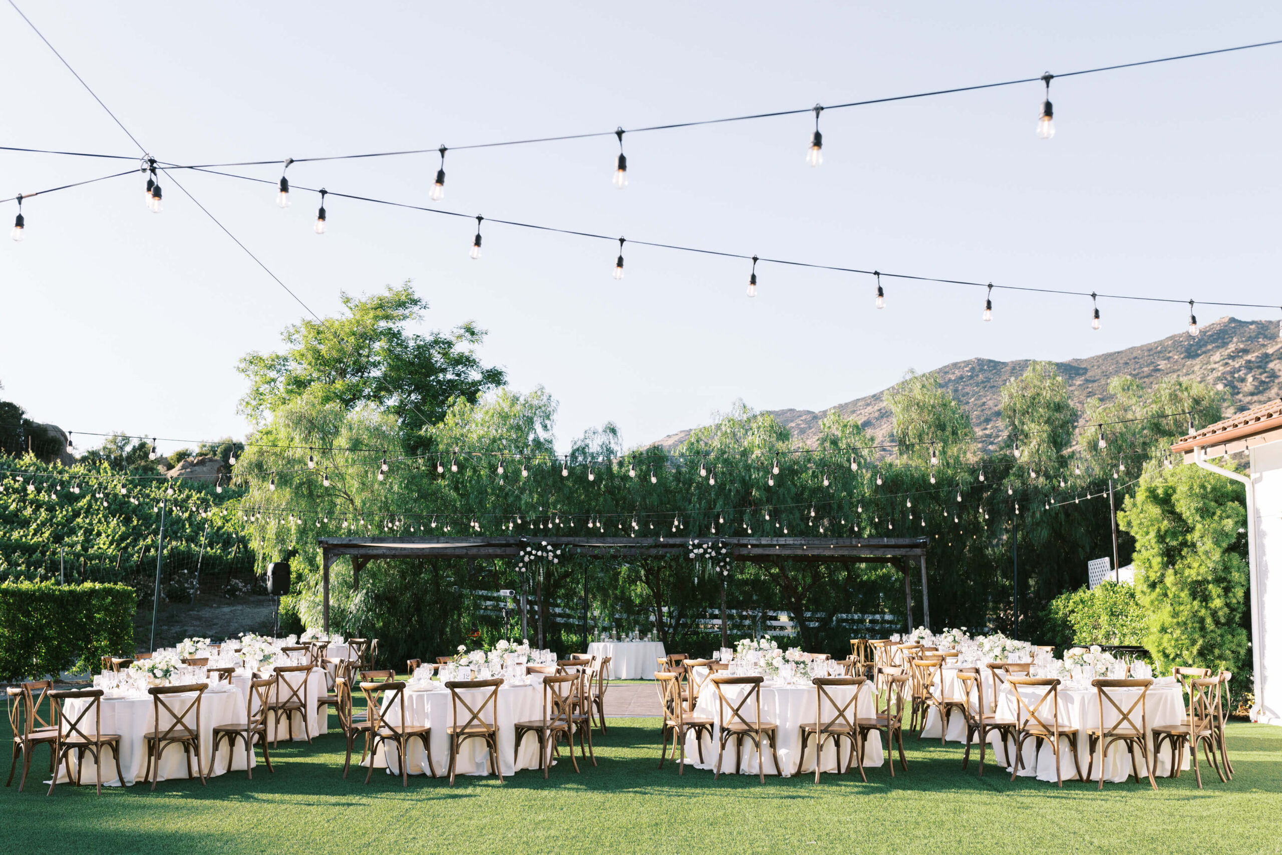 Hummingbird Nest Ranch Q-Vineyard Reception - Lisa Leanne Photography