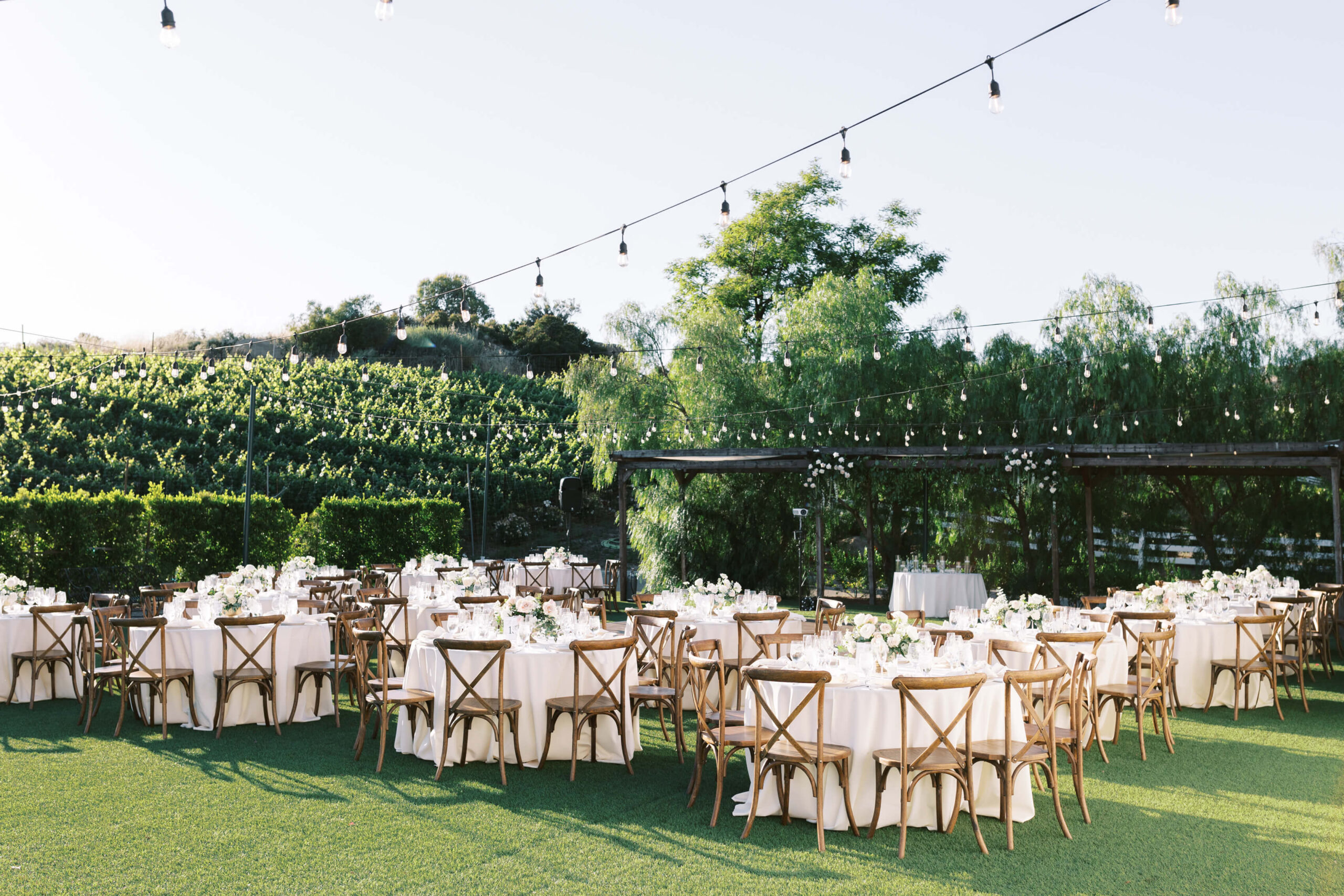 Hummingbird Nest Ranch Q-Vineyard Reception - Lisa Leanne Photography