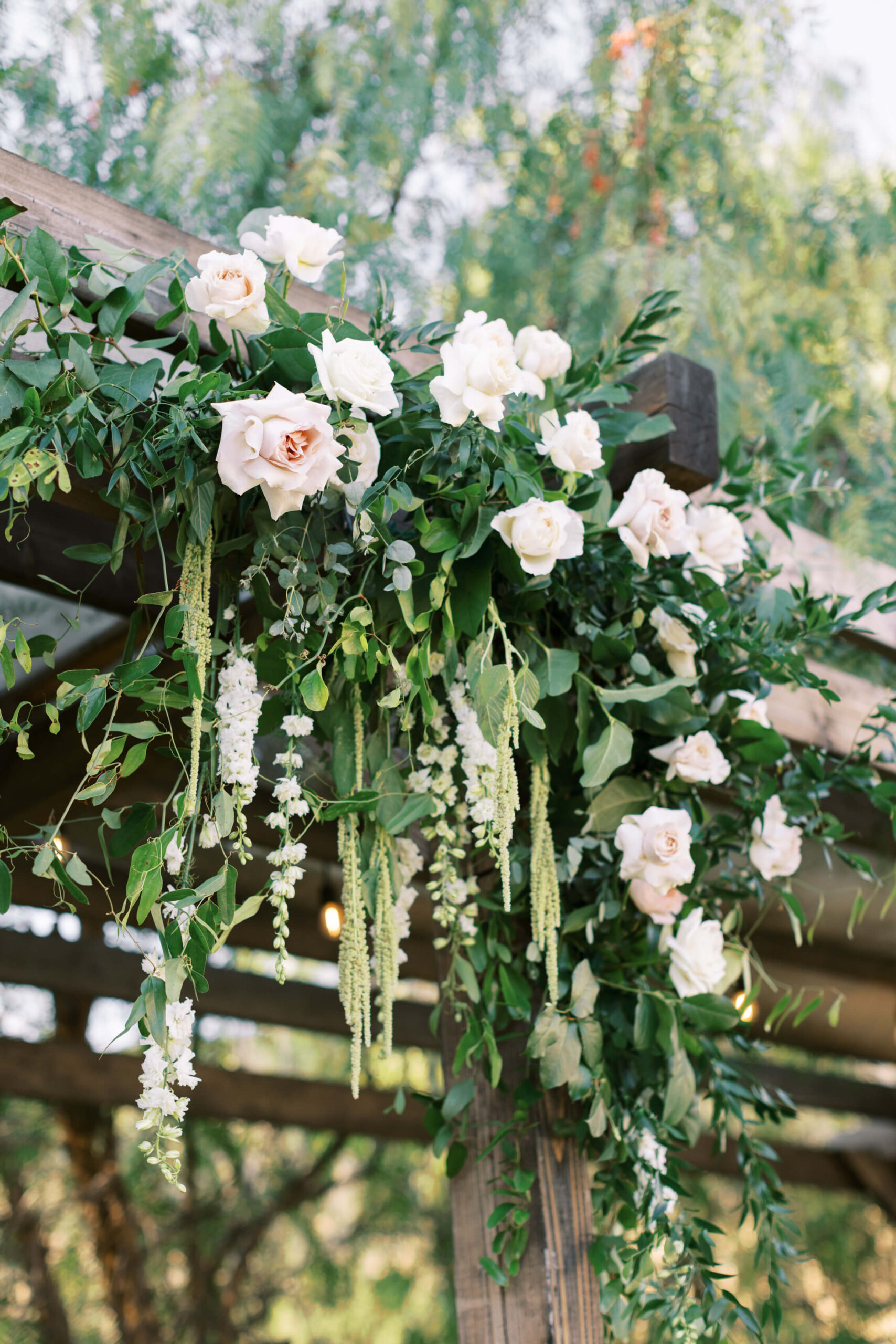 Hummingbird Nest Ranch Q-Vineyard Reception - Lisa Leanne Photography