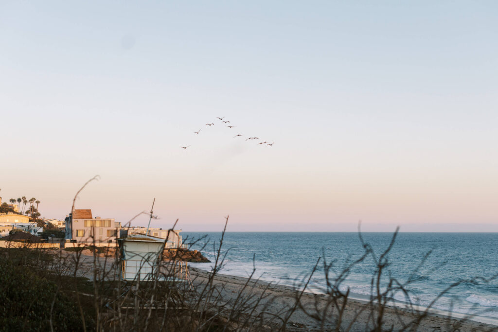 Malibu-Estate-Wedding_Malibu-Wedding_Southern-California-Wedding-Photographer_Lisa-Leanne-Photography_76-1024x683 A seaside view at sunset with waves gently meeting the shore, a group of birds flying in the sky, a few houses on the left, and dry branches in the foreground. Copyright - Lisa Leanne Photography, California