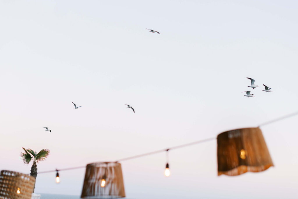 Malibu-Estate-Wedding_Malibu-Wedding_Southern-California-Wedding-Photographer_Lisa-Leanne-Photography_81-1024x683 Several seagulls fly across a pale sky at sunset. Hanging lights with wicker shades and a small palm tree are visible at the bottom of the image. The scene suggests a relaxed, coastal atmosphere. Copyright - Lisa Leanne Photography, California