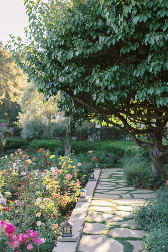 San-Ysidro-Ranch-Rehearsal-Dinner_Santa-Barbara-Wedding_Southern-California-Wedding-Photographer_Lisa-Leanne-Photography_21-683x1024 A stone pathway lined with small lanterns winds through a lush garden filled with colorful blooming flowers and greenery, shaded by a large leafy tree. Copyright - Lisa Leanne Photography, California