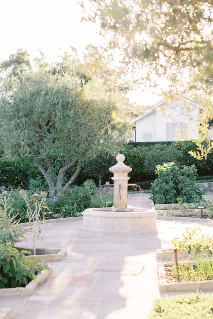 San Ysidro Ranch Garden Fountain. Copyright – Lisa Leanne Photography, California A sunlit garden with a stone fountain in the center, surrounded by lush green plants, garden beds, and trees. A white house is partially visible in the background. Copyright - Lisa Leanne Photography, California