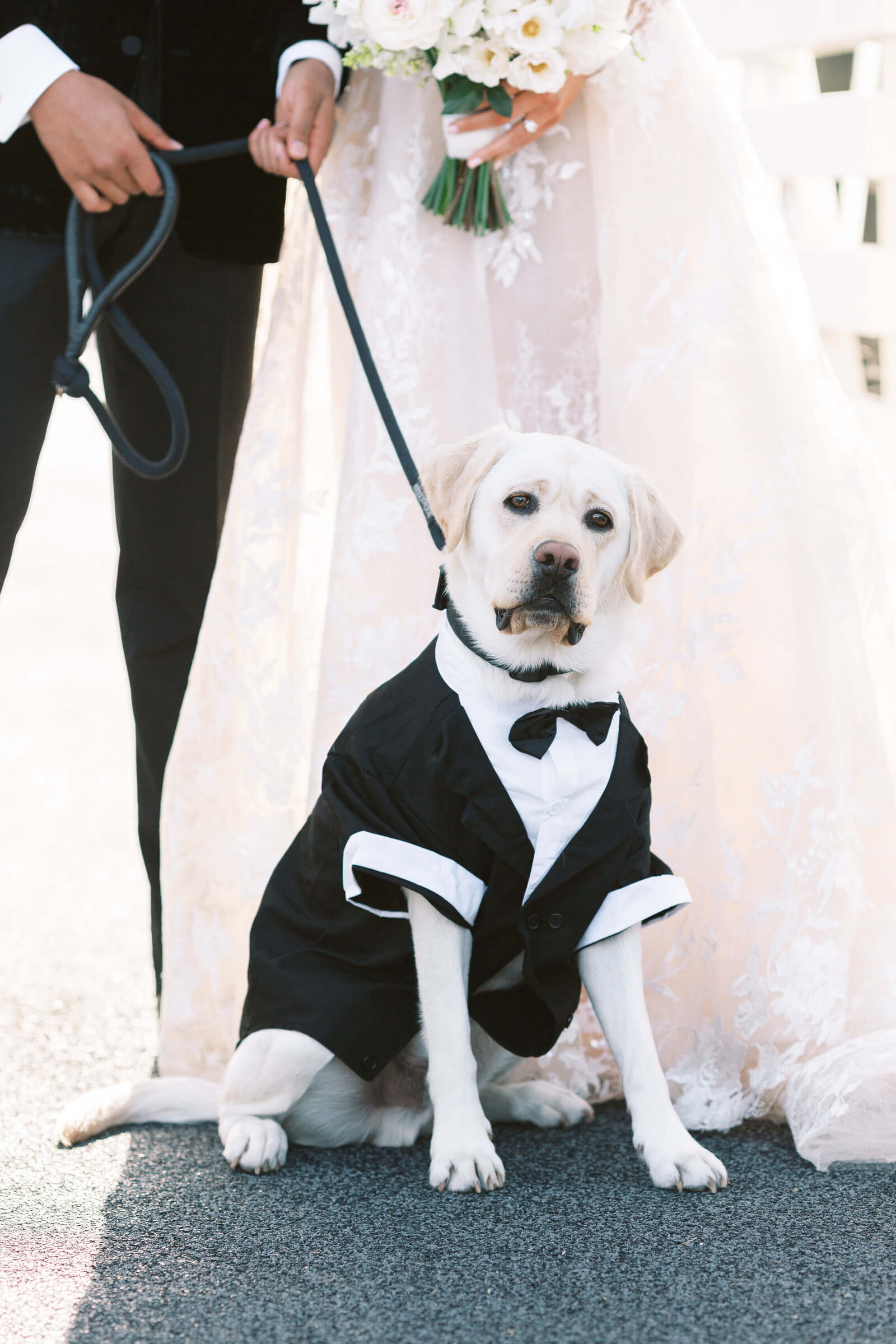 Bel-Air Country Club Wedding Bride and Groom Dog