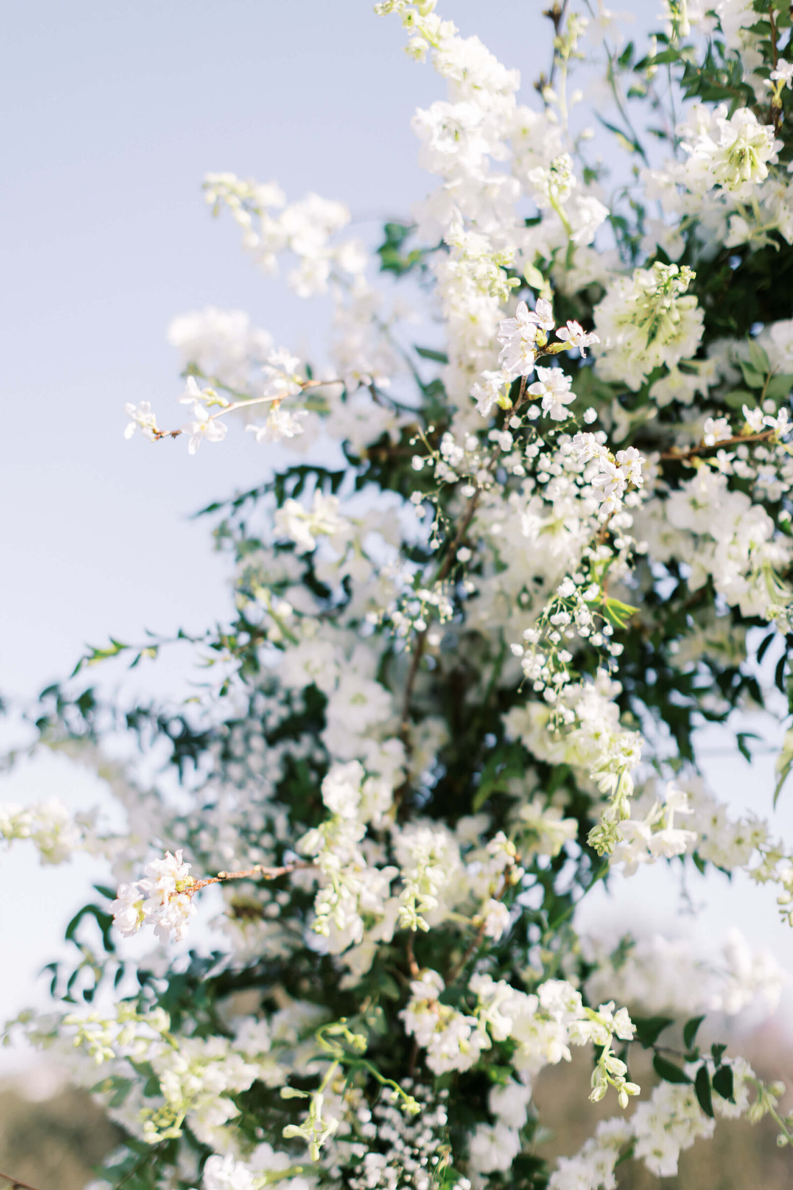 Bel-Air Country Club Wedding Floral Detail