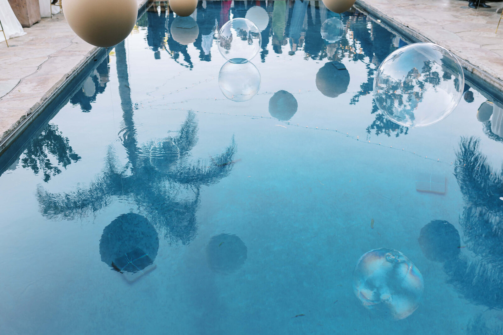 Malibu Estate Wedding Pool at Cocktail Hour