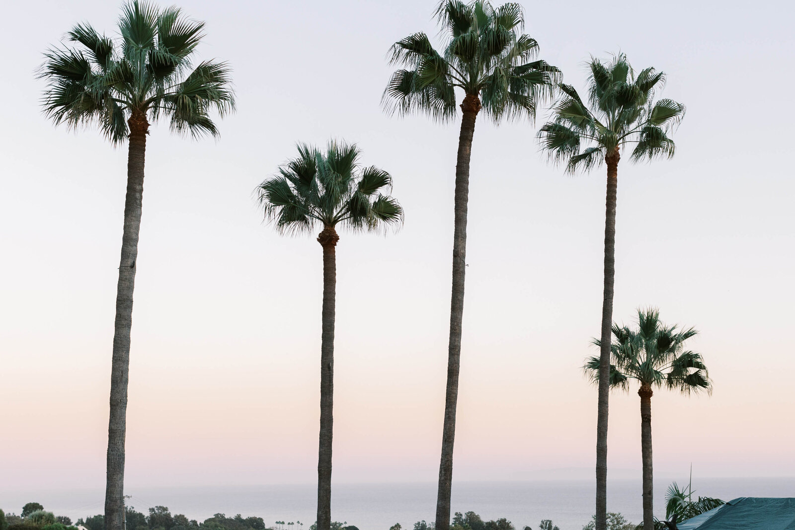 Malibu Estate Wedding Reception Sunset View