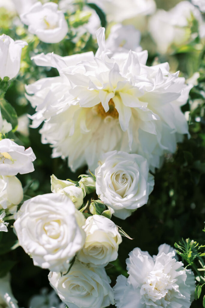 Gerry Ranch Wedding Ceremony - Close-up of a cluster of white flowers, including roses and dahlias, with lush green leaves in the background, bathed in bright natural sunlight. Copyright - Lisa Leanne Photography, California