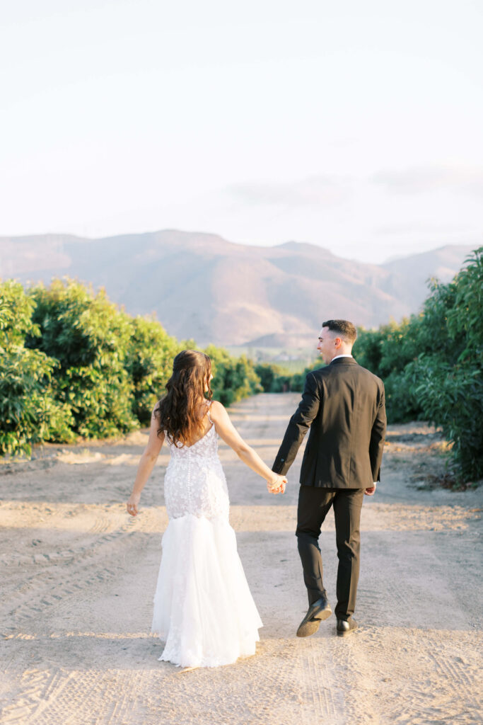 Golden Hour Bride and Groom Portrait at Gerry Ranch - A bride in a white dress and a groom in a black suit walk hand in hand down a dirt road lined with vineyards with mountains visible in the background under a clear sky. Copyright - Lisa Leanne Photography, California