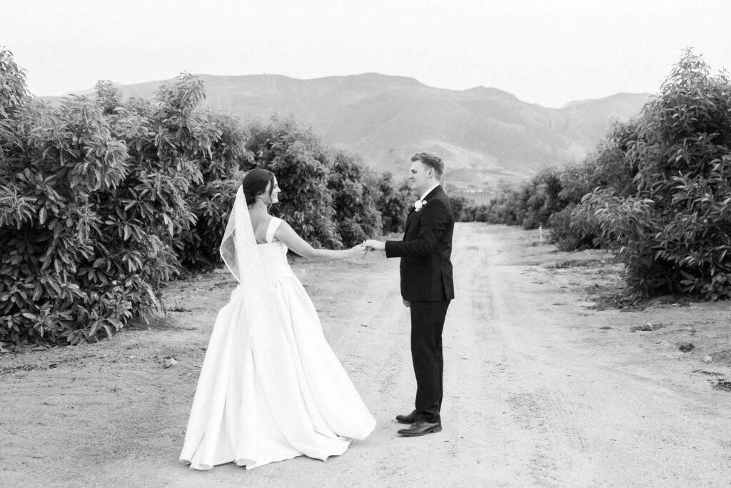 A bride and groom hold hands and face each other on a dirt path, surrounded by bushes, with mountains in the background. The bride wears a long dress and veil; the groom wears a suit. The scene is outdoors and in black and white. Copyright - Lisa Leanne Photography, California
