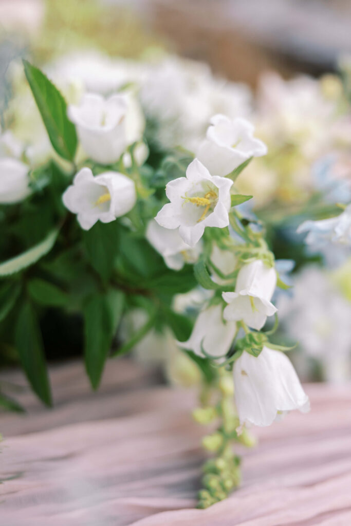 A close-up of delicate white bell-shaped flowers with green leaves, softly focused, resting on a light pink fabric background. The image has a gentle, airy, and serene feel. Copyright - Lisa Leanne Photography, California