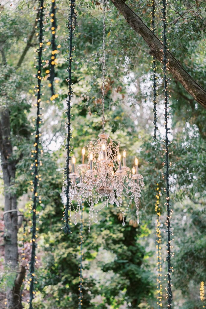 Birchwood Room Wedding Chandelier Detail