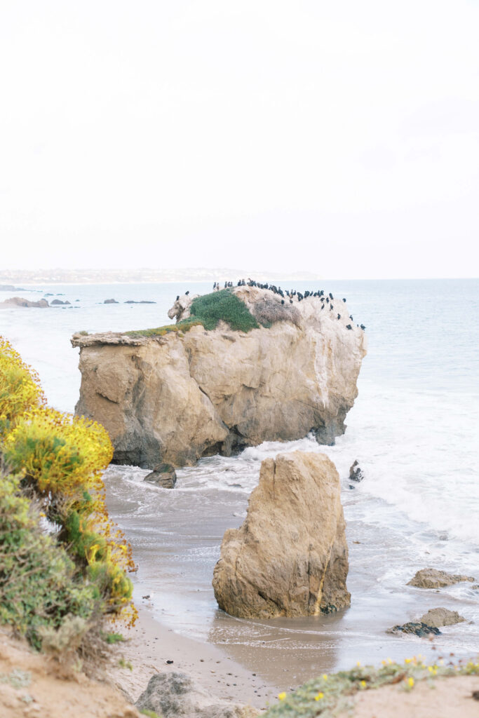 Malibu Beach Engagement Session - Large rocky outcrop by the ocean with birds perched on top, surrounded by waves and a sandy beach; greenery and yellow flowers in the foreground. Copyright - Lisa Leanne Photography, California